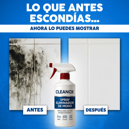 🧴 Cleanox™ | Spray Eliminador de Moho y Manchas de Humedad | Renueva la Apariencia de Tu Hogar